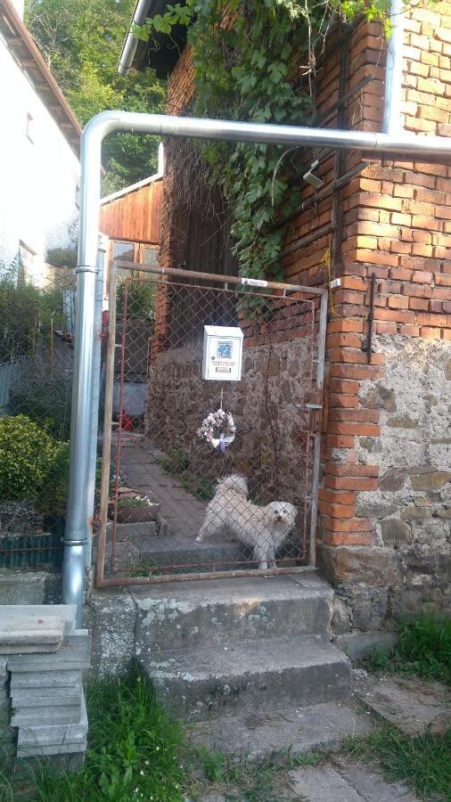 Pensjonat U Babicky A Jeji Psi Smecky Weselitschko Zewnętrze zdjęcie